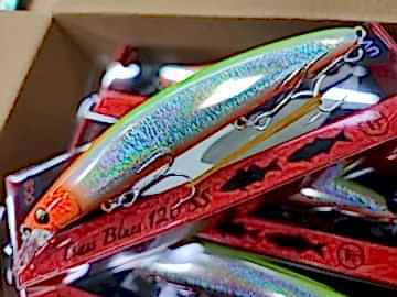 Tournament fishing Bassblues 120 SS 120 mm 24 gr #OCS