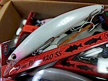 Tournament fishing Bassblues 120 SS 120 mm 24 gr #PPG