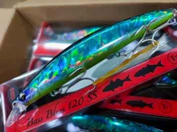 Tournament fishing Bassblues 120 SS 120 mm 24 gr #GBS